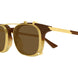 002 - Brown - Transparent