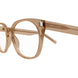 005 - Brown - Transparent
