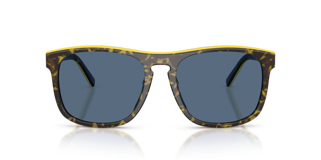 743/80 - Tortoise - Dark Blue