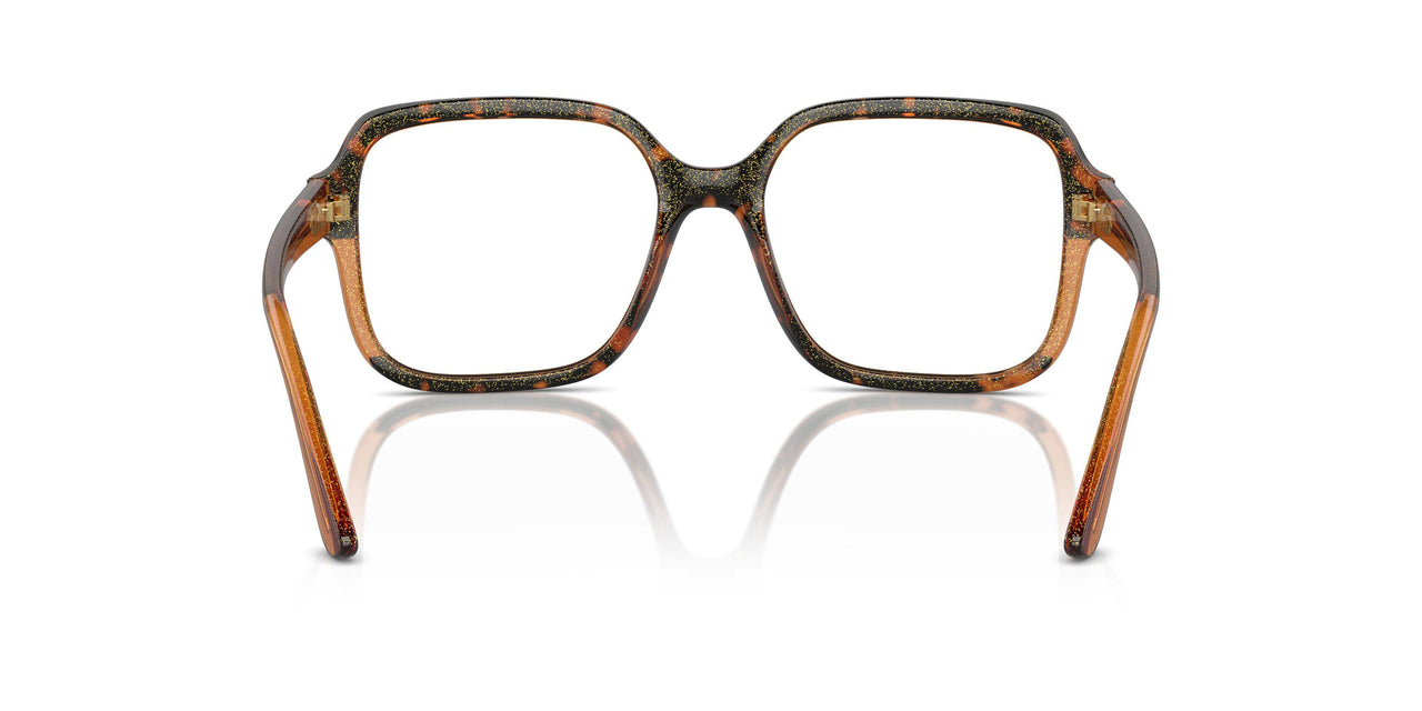 3134 - Tortoise