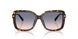 801516 - Tortoise - Light Brown Gradient Blue