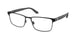 Polo 1222 Eyeglasses