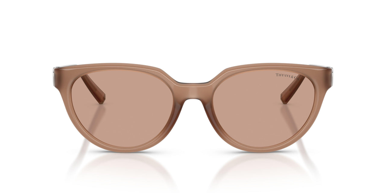 844973 - Brown - Brown