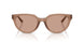 844973 - Brown - Brown