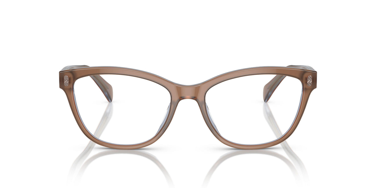 6067 - Brown