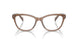 6067 - Brown