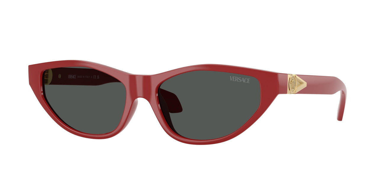 538887 - Red - Dark Grey