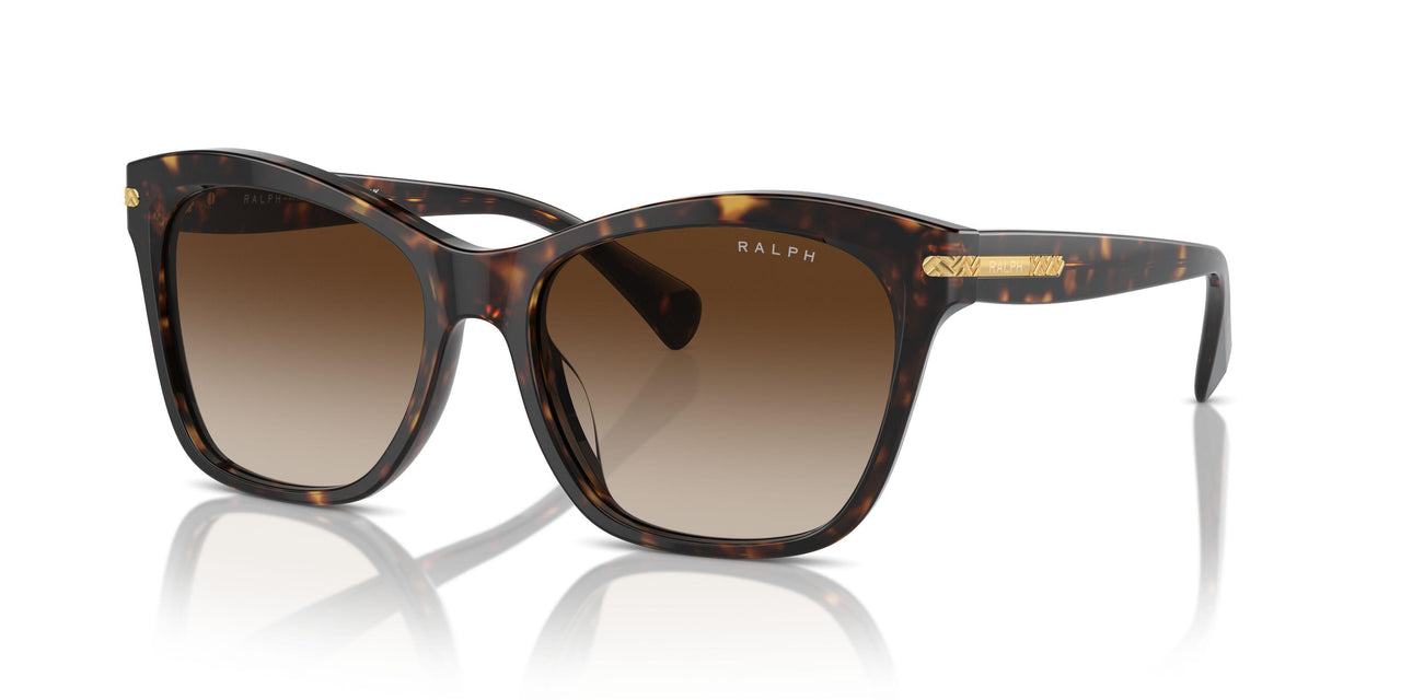 500313 - Brown - Gradient Brown