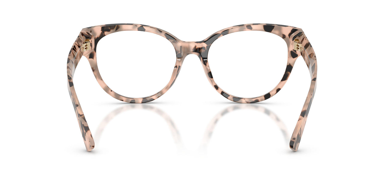 5080 - Tortoise