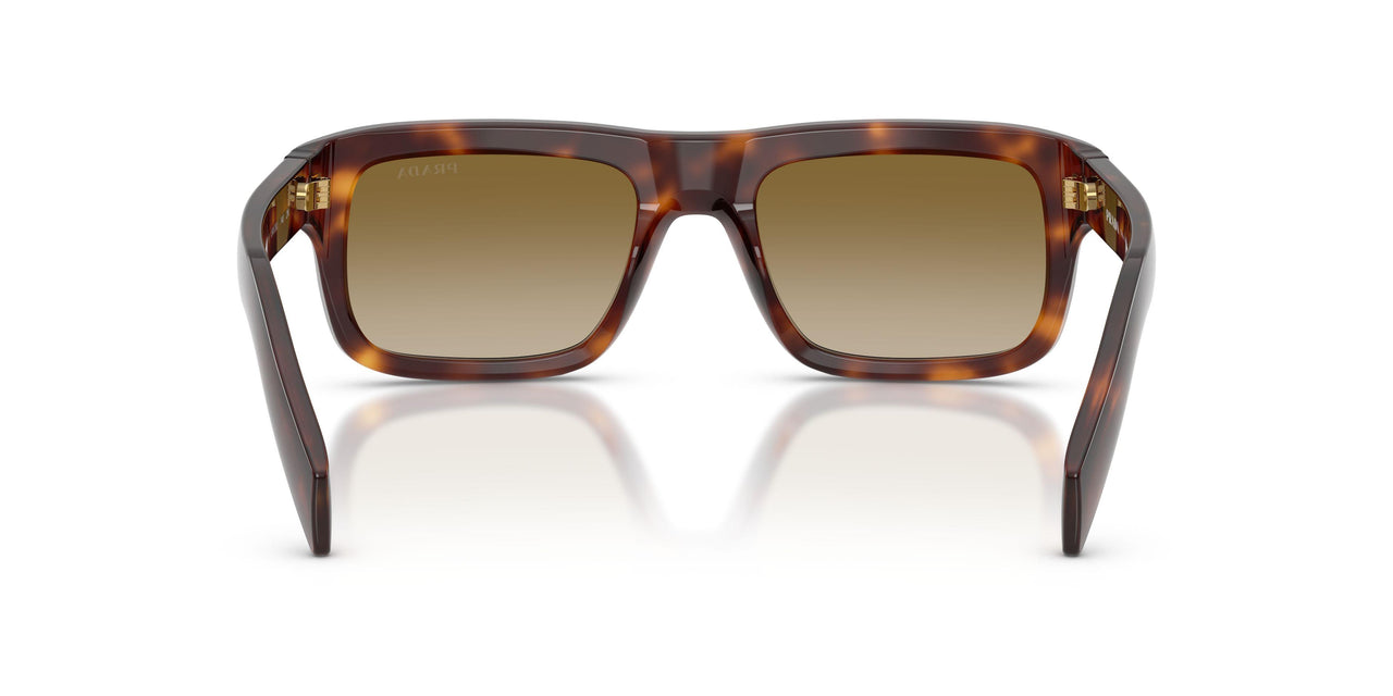 15W20U - Tortoise - Brown Gradient