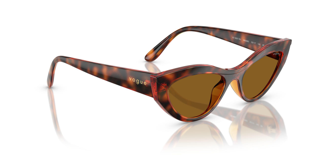 W65683 - Brown - Dark Brown Polar