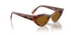 W65683 - Brown - Dark Brown Polar