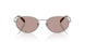 1BC20I - Silver - Light Purple Brown