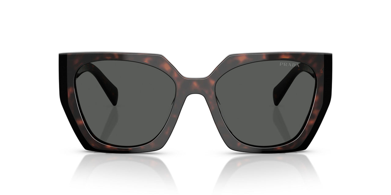 24B40L - Tortoise - Dark Grey