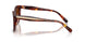 593874 - Tortoise - Brown Gradient