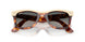 144371 - Brown - Gradient Grey