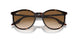 902/51 - Tortoise - Light Brown