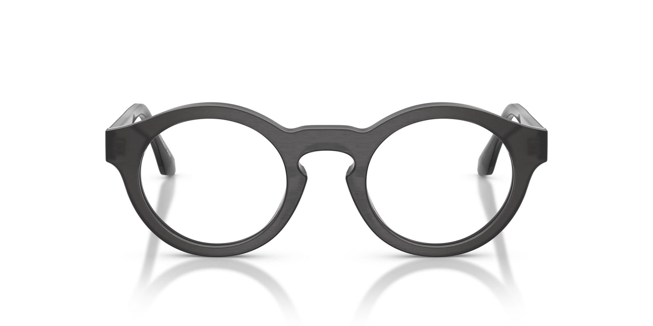 6395 - Tortoise