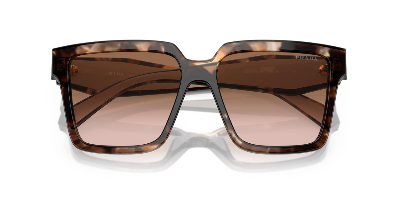 07R0A6 - Tortoise - Brown Gradient