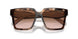 07R0A6 - Tortoise - Brown Gradient