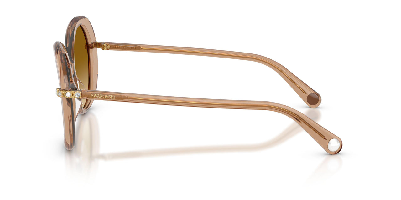11243B - Brown - Yellow Gradient Light Brown
