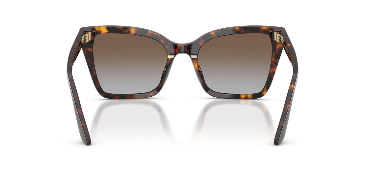 502689 - Tortoise - Grey Gradient Brown