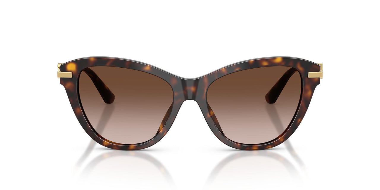 502/13 - Tortoise - Light Brown Gradient Dark Brow