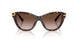 502/13 - Tortoise - Light Brown Gradient Dark Brow