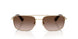 110913 - Gold - Brown Gradient
