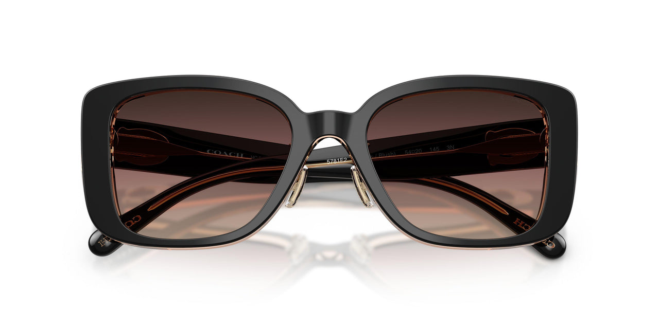 5781E2 - Black - Brown Purple Gradient