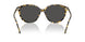 177887 - Tortoise - Grey