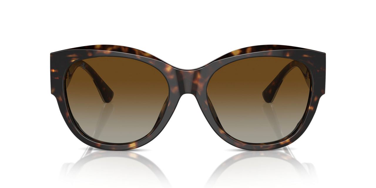 702/T5 - Tortoise - Brown Gradient Polarized
