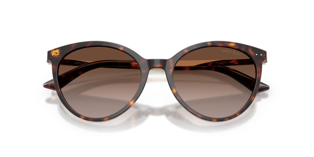 500213 - Tortoise - Gradient Brown