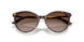 500213 - Tortoise - Gradient Brown