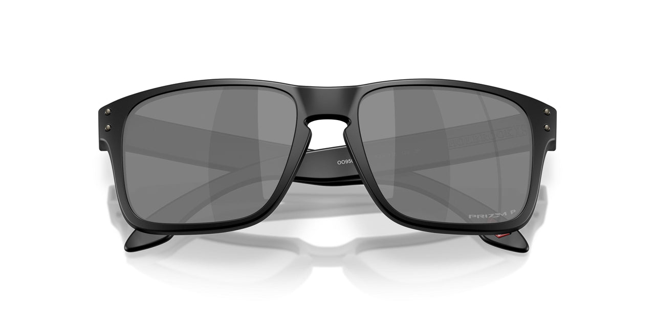 950901 - Black - Prizm Black Polarized