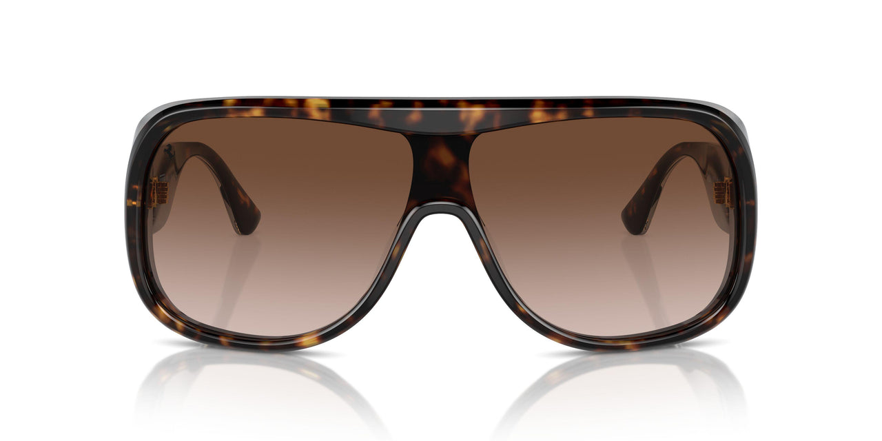 702/13 - Tortoise - Gradient Brown