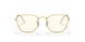 9196BL - Gold - Photo Grey/blue Light Filter