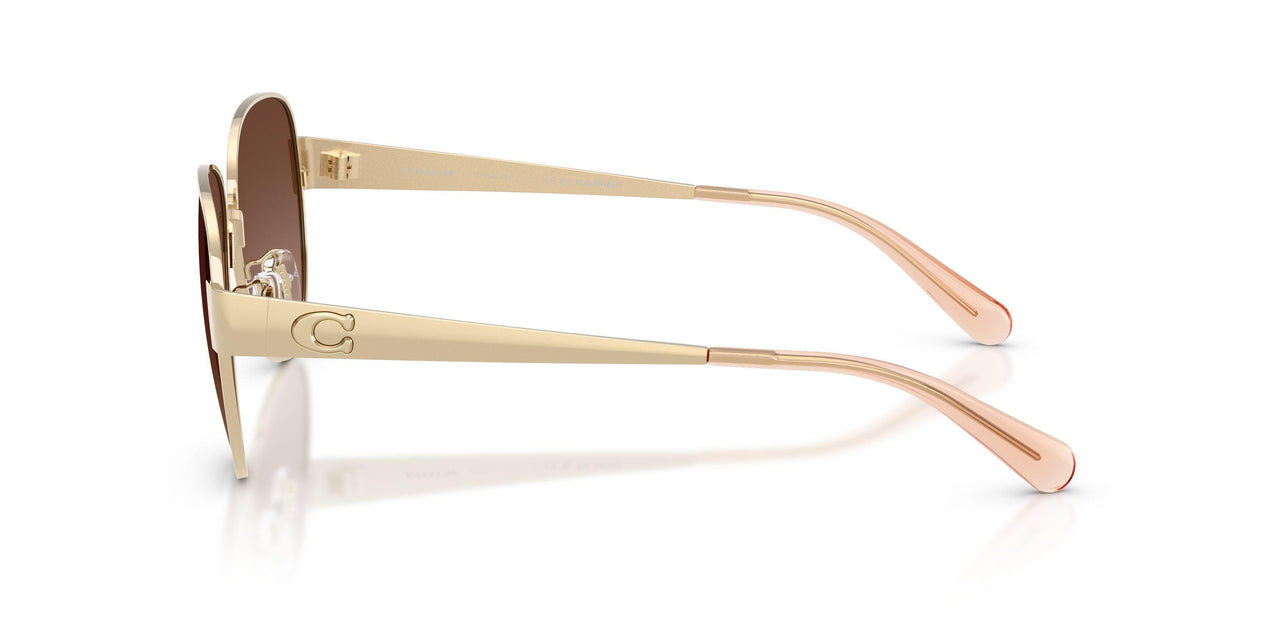 900587 - Gold - Brown Gradient Polar