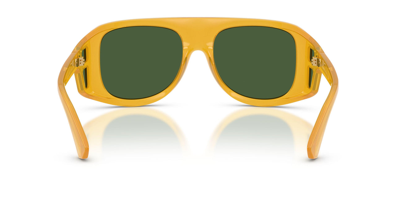 652/71 - Tortoise - Dark Green