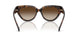 300613 - Tortoise - Smoke Gradient