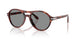 623402 - Tortoise - Blue