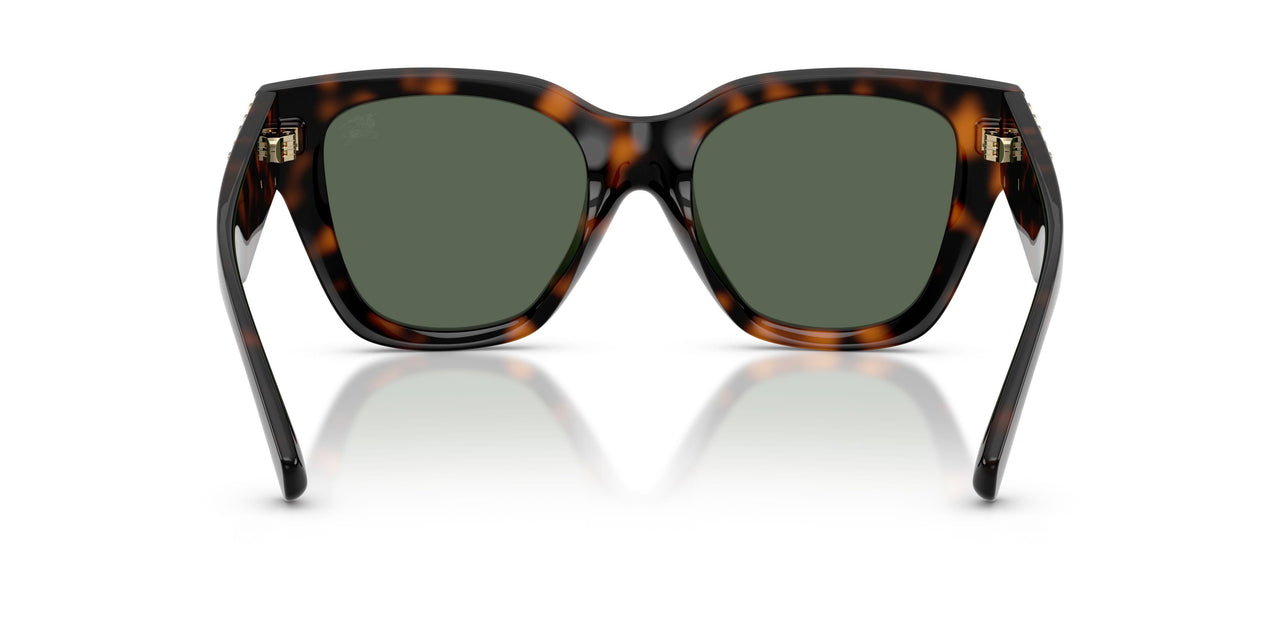 300271 - Brown - Dark Green