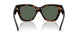 300271 - Brown - Dark Green