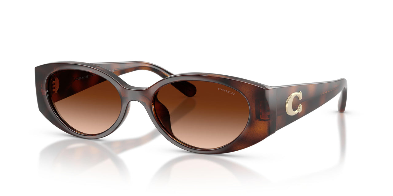 Coach Cfu06 8462U Sunglasses
