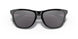 924575 - Black - Prizm Grey