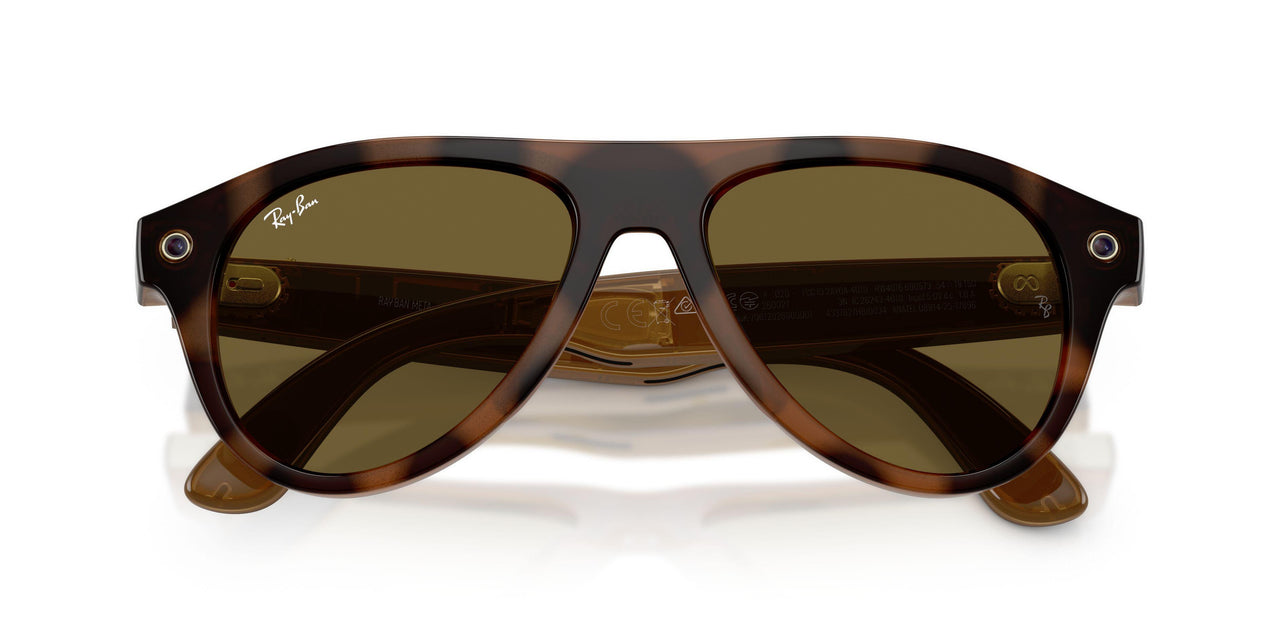 690573 - Tortoise - Dark Brown