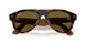 690573 - Tortoise - Dark Brown