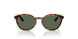 W65671 - Brown - Dark Green