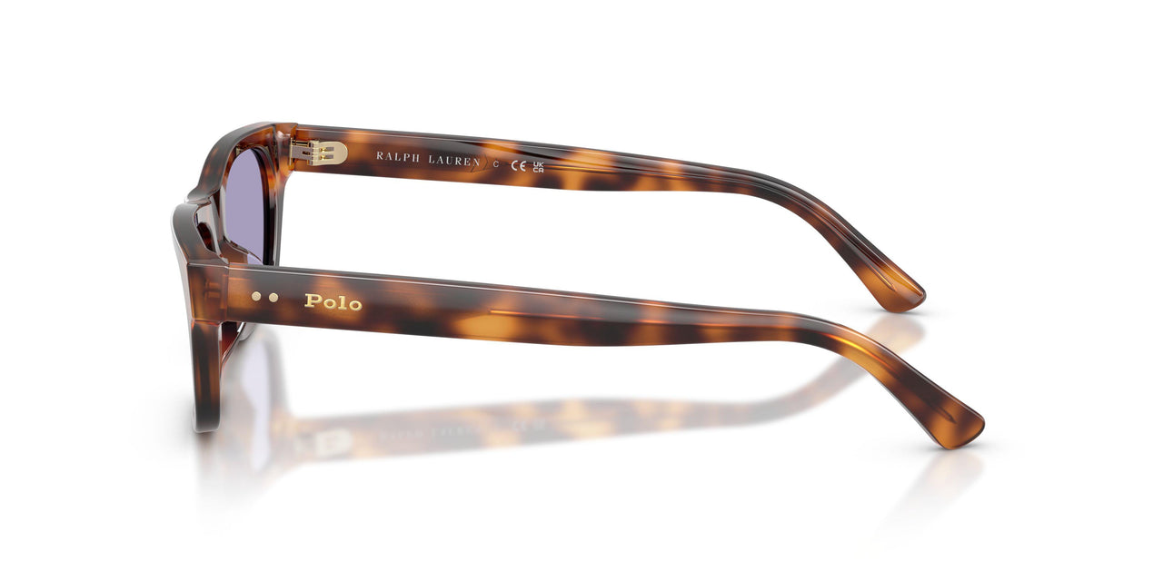 63551A - Tortoise - Lilac