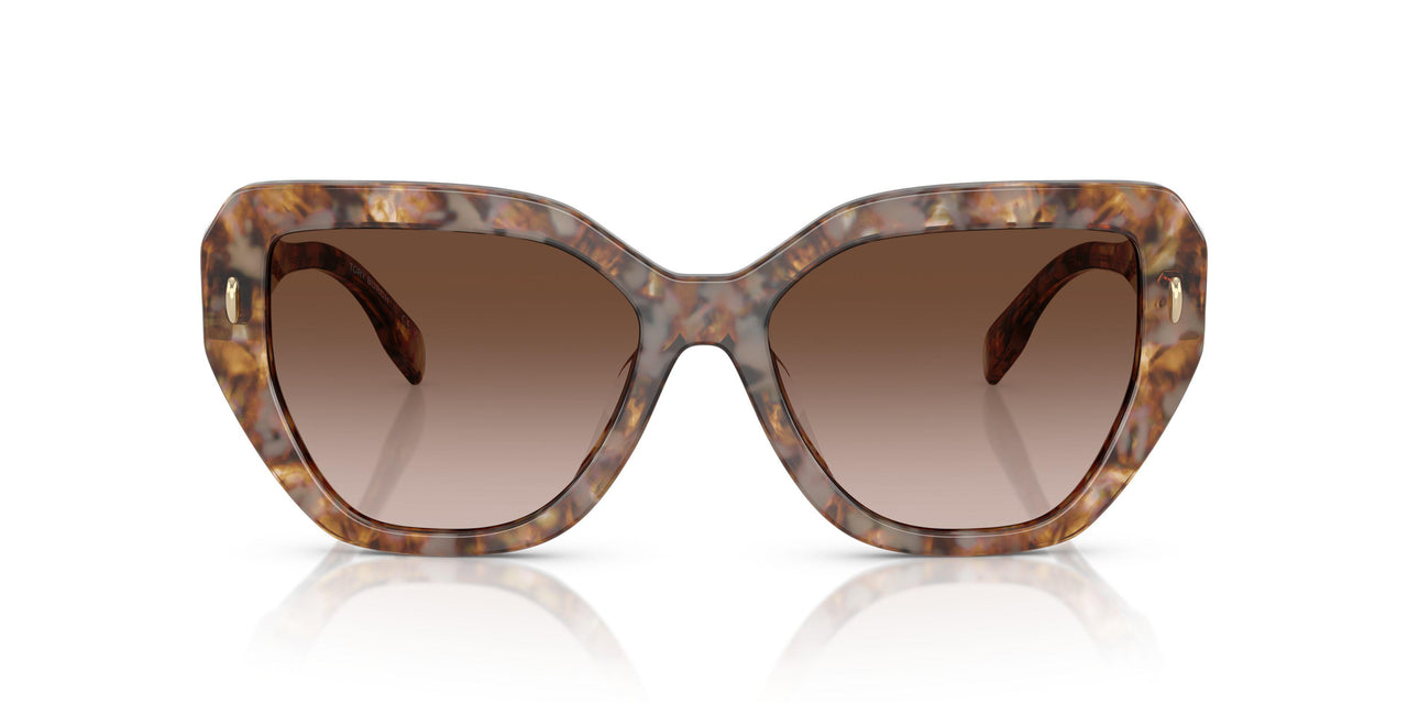 197513 - Tortoise - Brown Gradient